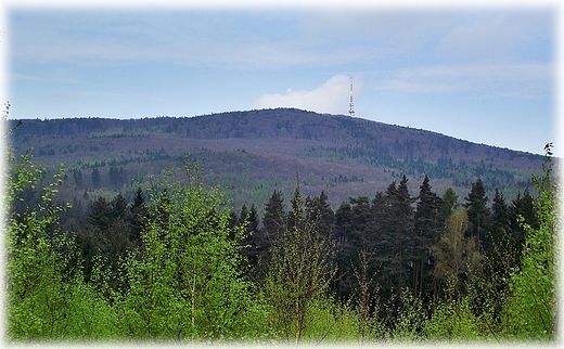 Chodzc po Raduni... widok na l