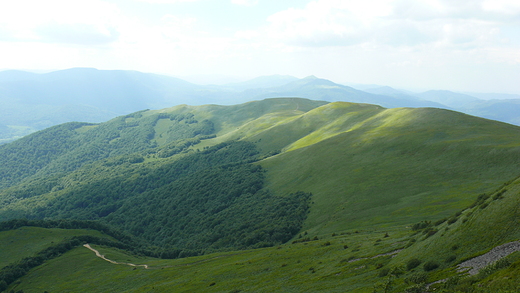 Bieszczady w socu..