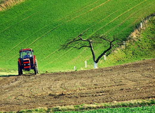 Wiosenne prace na polach