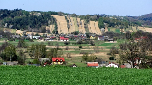 roztoczaskie pola