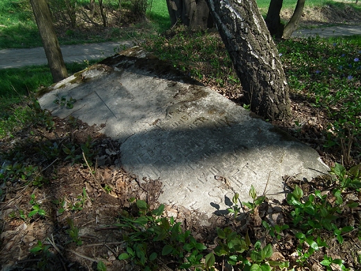 Cmentarz Ewangelicki w Borkowinie