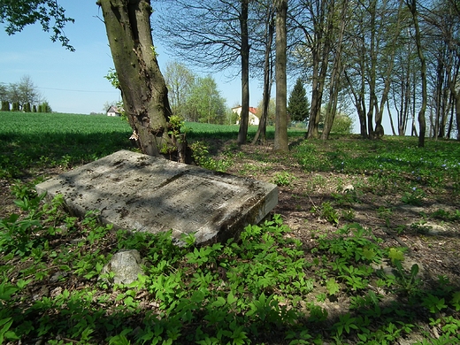 Cmentarz Ewangelicki w Borkowinie