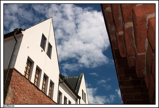 Gosawice - Muzeum Okrgowe w Koninie z siedzib w Gosawicach _ Zamek