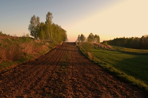Ruszw. Wiosenne pola