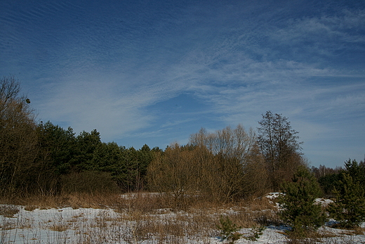 Mazowieckie - laski, piaski i karaski