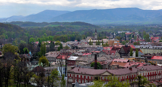 Cieszyn. Widok z Wiey Piastowskiej na stron czesk.