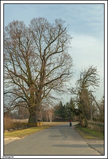 Cieszcin - wiejskie klimaty