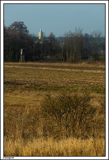 Cieszcin - widok ze wzgrza kocielnego na pola i koci w Wyszanowie