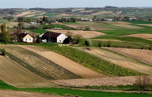 90	Hosznia Niwa, dalej Podlesie Due