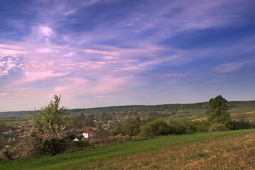 Roztocze. Okolice Szczebrzeszyna.