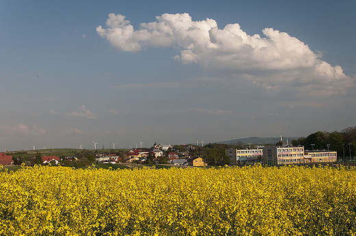 widok na Miejsce Piastowe