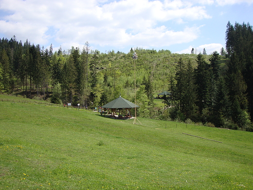 Trjstyk-widok oglny