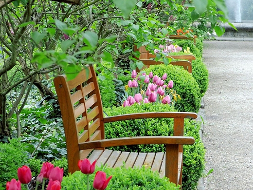 Ogrd Botaniczny UW