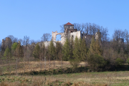 Ruiny zamku Tenczyn