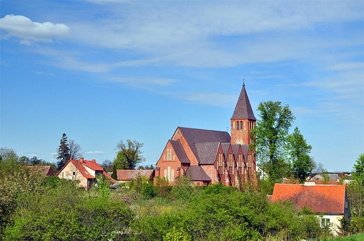 Dubeninki, koci, w zieleni