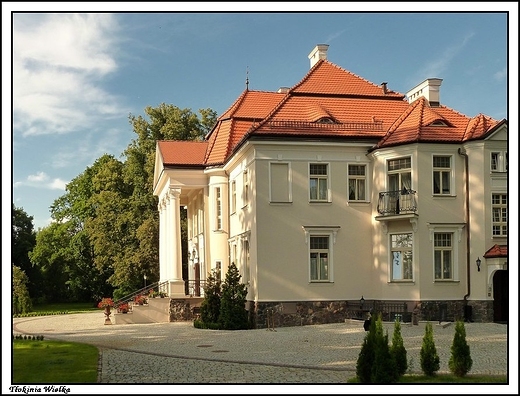 Tłokinia Kościelna - pałac wybudowany w latach 1915-1916 przez  Zofię i Ignacego Chrystowskich