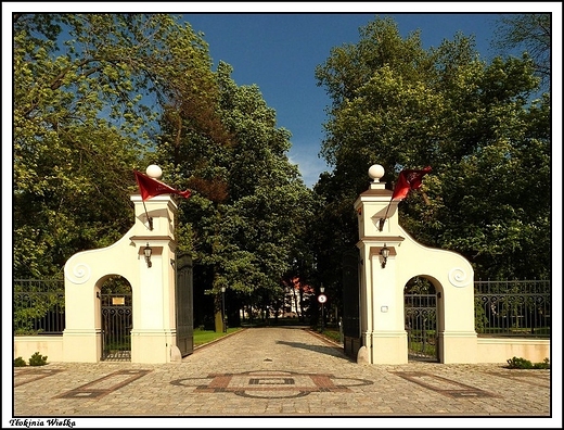 Tłokinia Kościelna - pałac wybudowany w latach 1915-1916 przez  Zofię i Ignacego Chrystowskich  _ brama wjazdowa na teren rezydencji