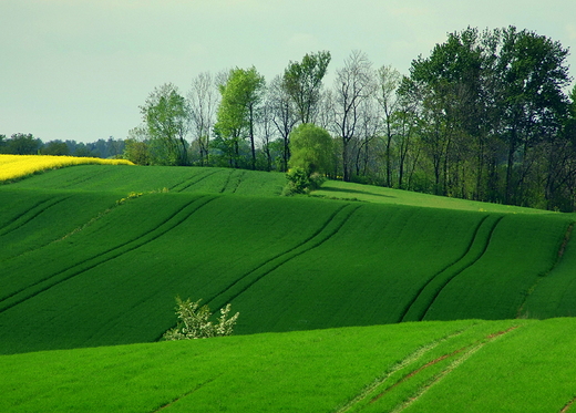 Opolskie klimaty