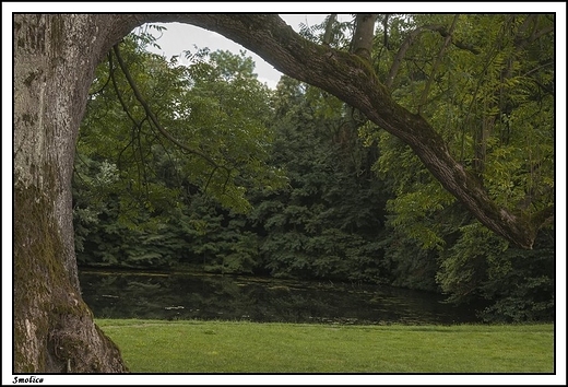 Smolice - neobarokowy paac z lat 1910 - 1914 _ przypaacowy park krajobrazowy