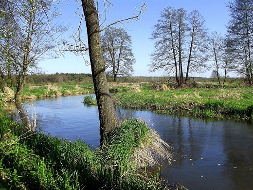 Rzeka Bystrzyca, tu, tu za miastem