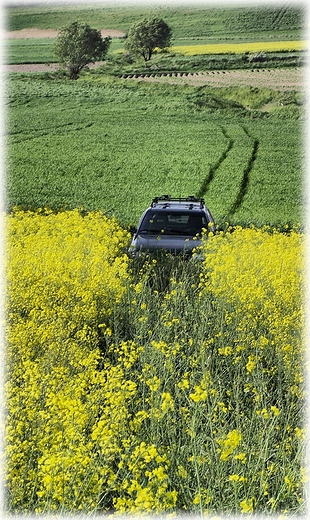 Przyczajony tygrys, ukryty opel
