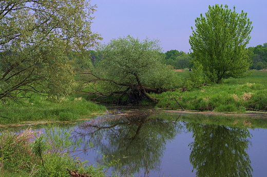 Rogaliski Park Krajobrazowy - Warta