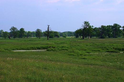 Rogaliski Park Krajobrazowy