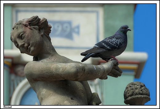 Pozna - stary rynek _ fontanna Prozerpiny