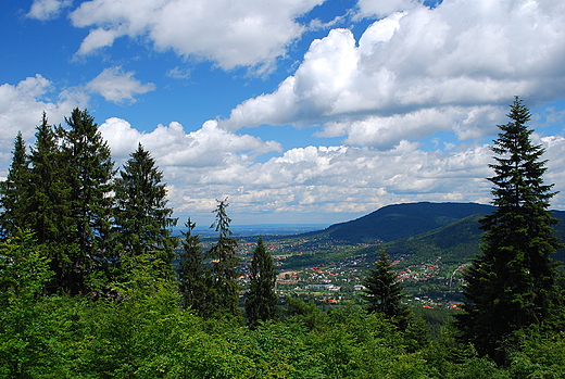 Widok z Koziej Gry na Bielsko i Beskid May.