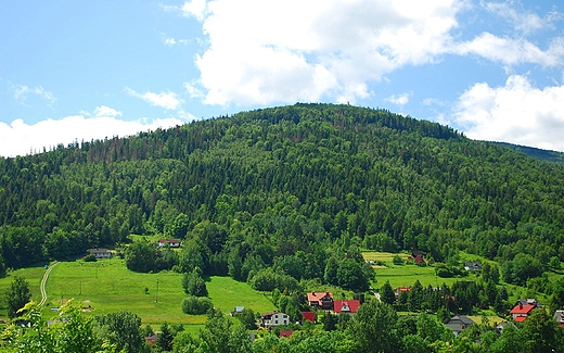 Beskid lski. Widok z Koziej Gry na poudnie w stron Bystrej