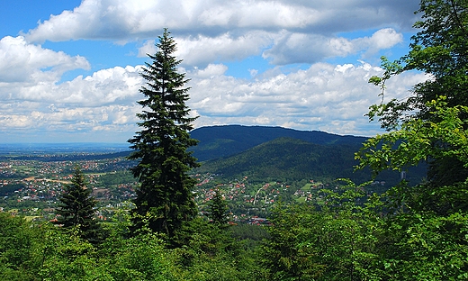 Beskid lski .Widok w kierunku ssiedniego Beskidu Maego (poniej 1000 m n.p.m.)