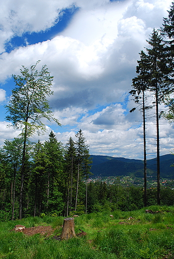 Beskid lski. Na szlaku Koziej Gry