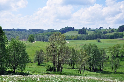Wodziłki