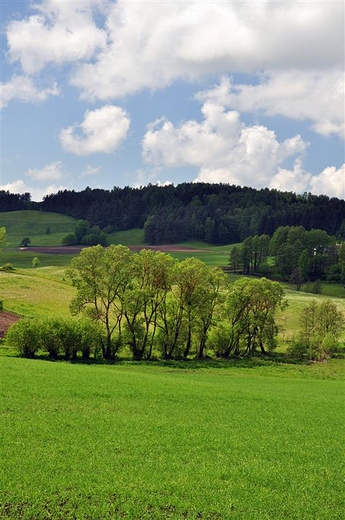 Wodziłki