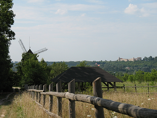 Wiatrak i zamek w Janowcu w oddali. Mmierz