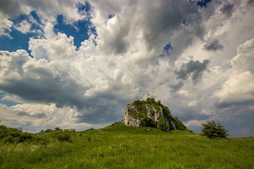 Skaa dowa, Bzw