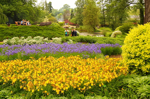 Arboretu w Wojsawicach