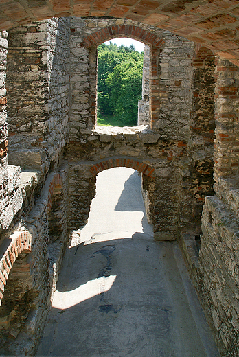 Ruiny ogrodzienieckiego zamku.