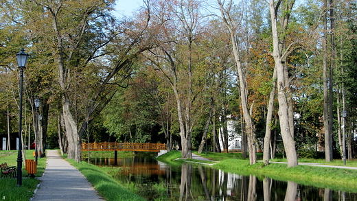 w Zwierzyńcu