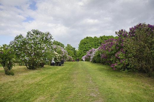 Park zamkowy w Krniku