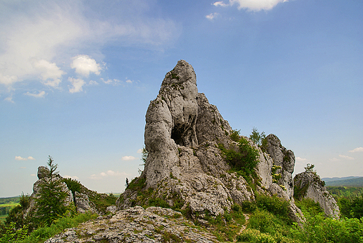 Wok ogrodzienieckiego zamku.