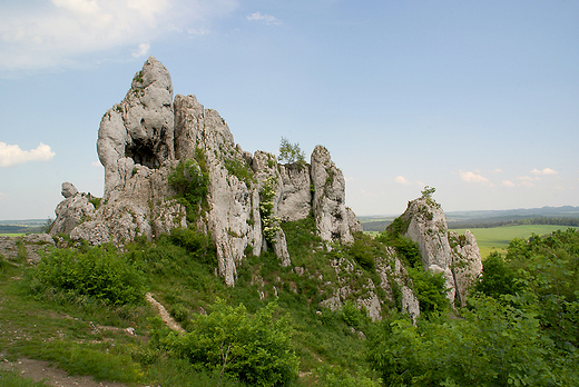 Wok ogrodzienieckiego zamku.