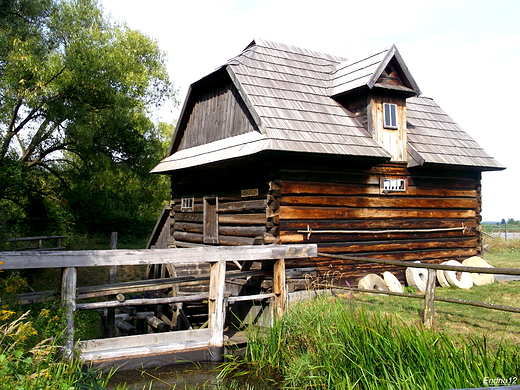 Myn-skansen.