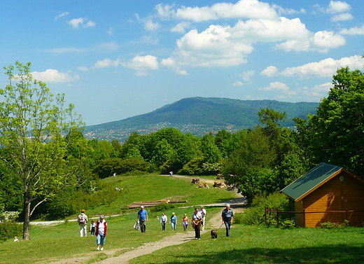 Beskid lski. Widok z Dbowca (686m n.p.m.) na wschd (Beskid May).