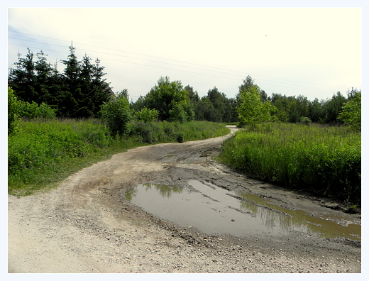 podwarszawskie klimaty