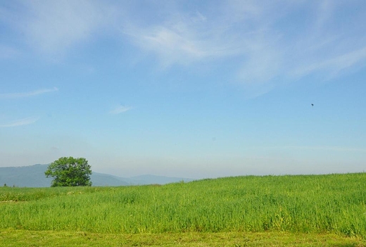 Beskid