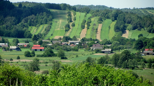 okolice Szczebrzeszyna