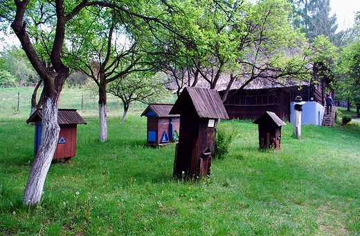 Nadwilaski Park Etnograficzny w Wygiezowie. Pasieka z pooqy XIXw.