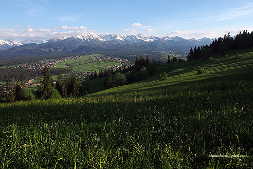 w dali Tatry