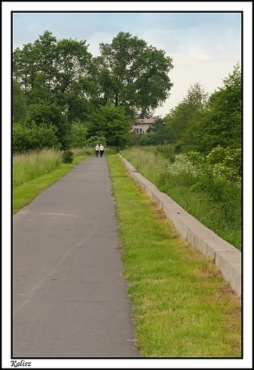 Kalisz - przyroda nad Prosn _ cieka rowerowo - spacerowa